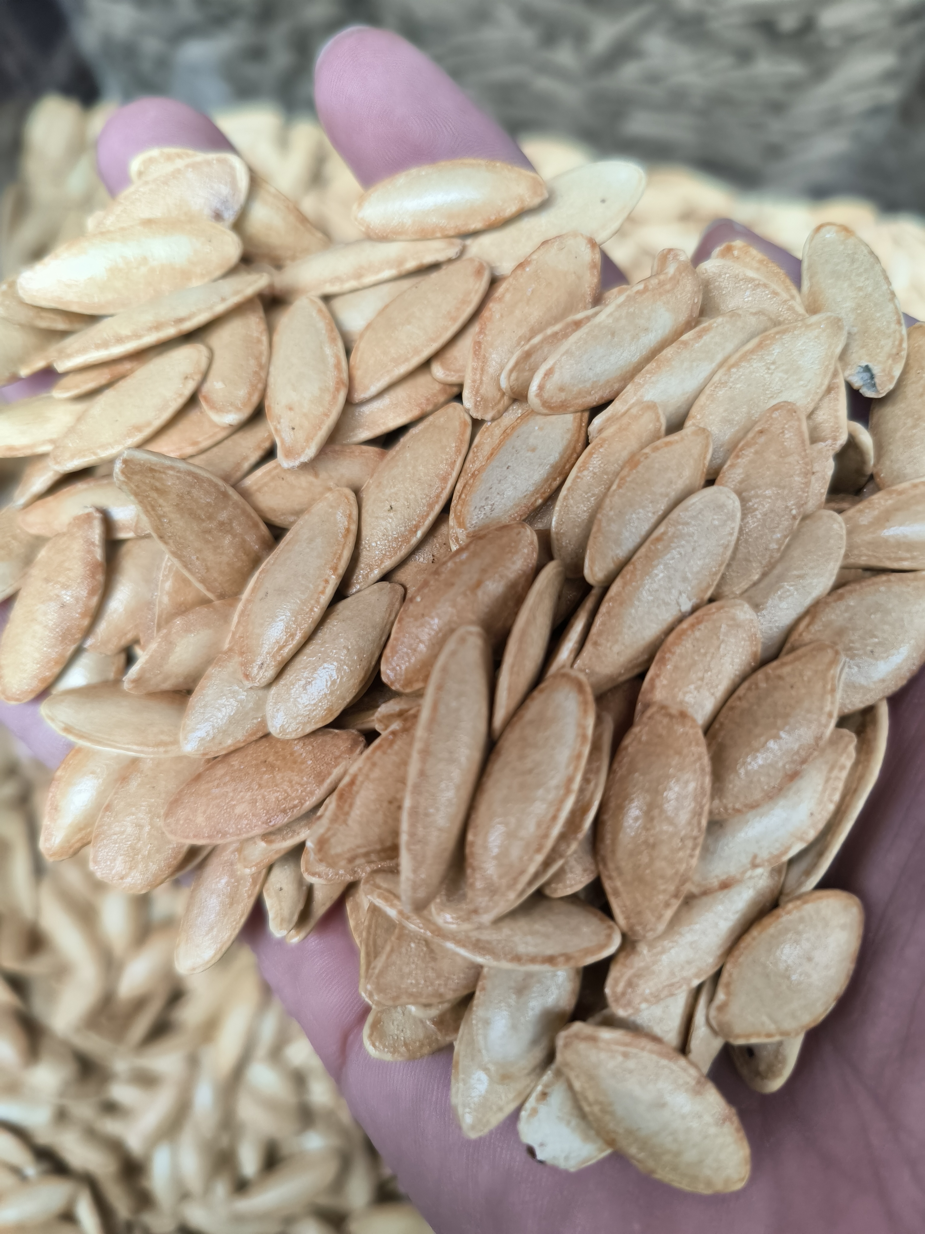 美人甲南瓜子散称代买包邮