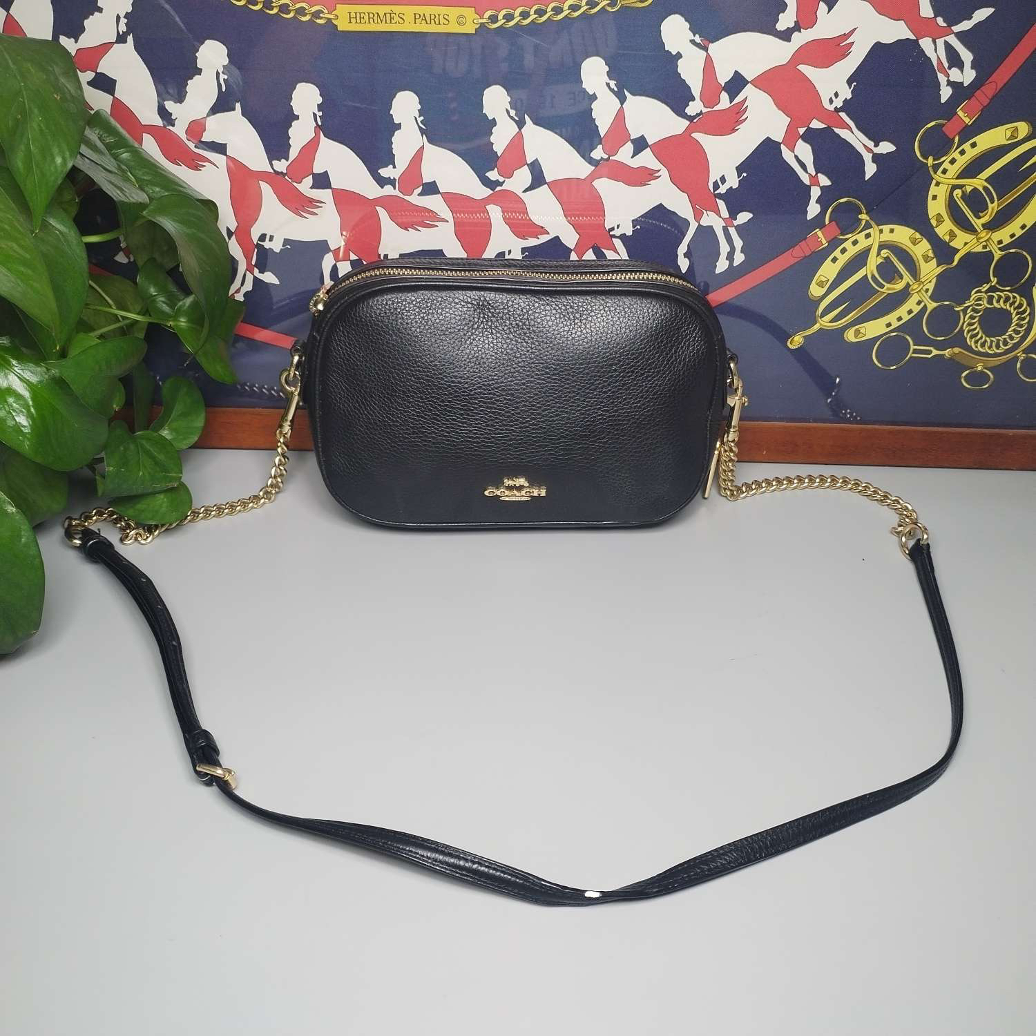 95新 COACH/蔻驰 蔻驰相机包尺寸21x14x7【中古精选】编码9063200