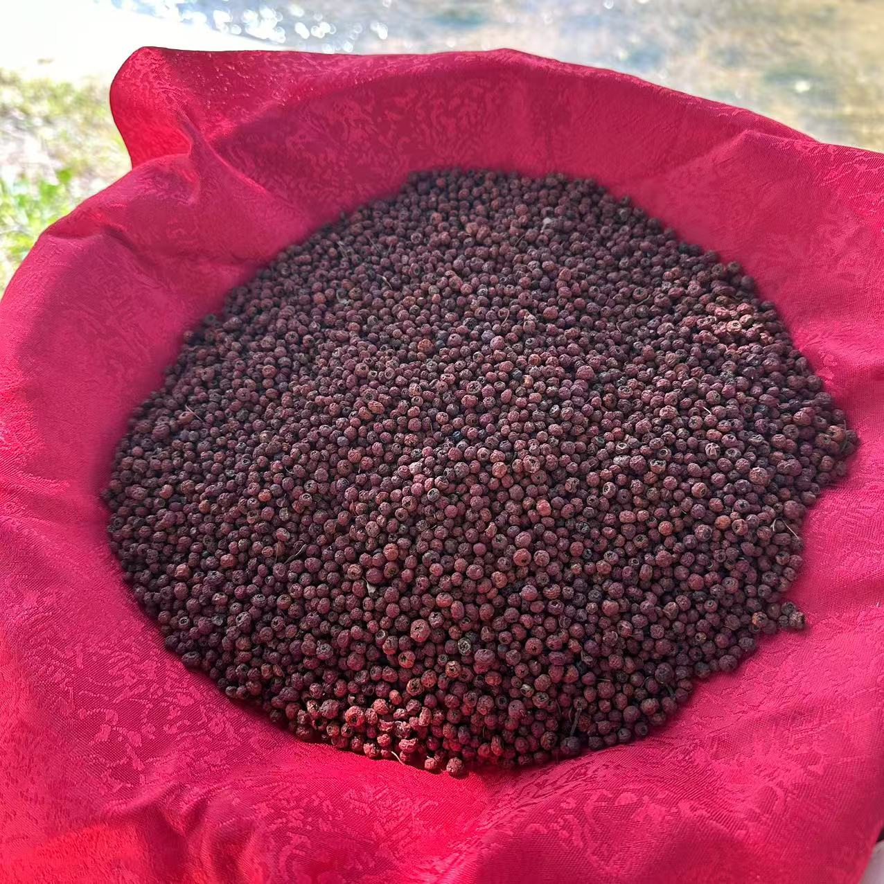 【主播精选】山货 紫-衫-果