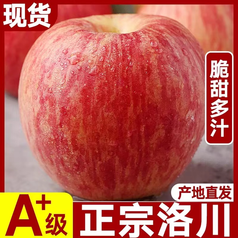 新鲜水果苹果当季