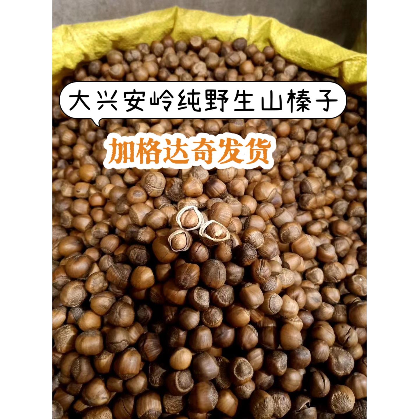 23新货大兴安岭野生榛子炒熟不开口东北扎兰屯榛子500克现炒