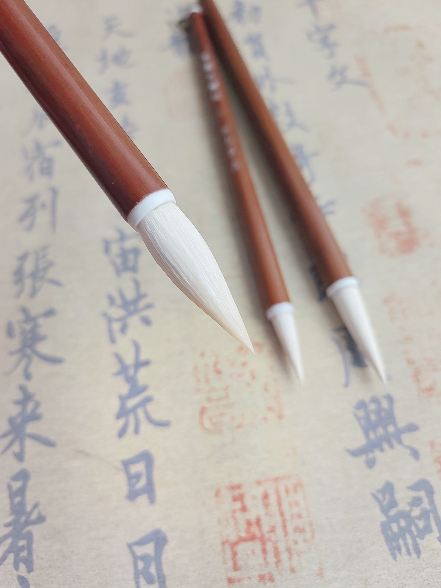 羊毫玉兰心向东笔庄光峰羊毫作品集艺考专用初学者套装国画楷篆隶