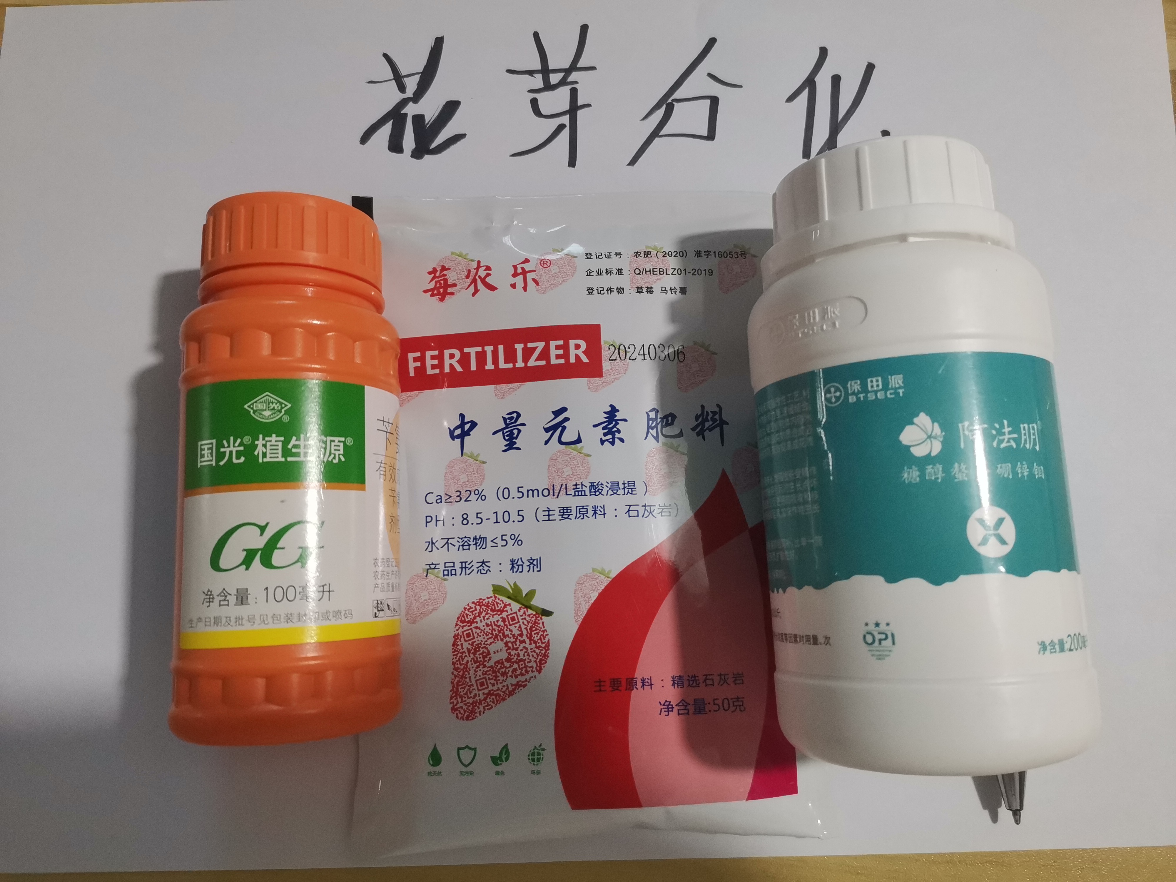 草莓育苗促进花芽分化10桶水