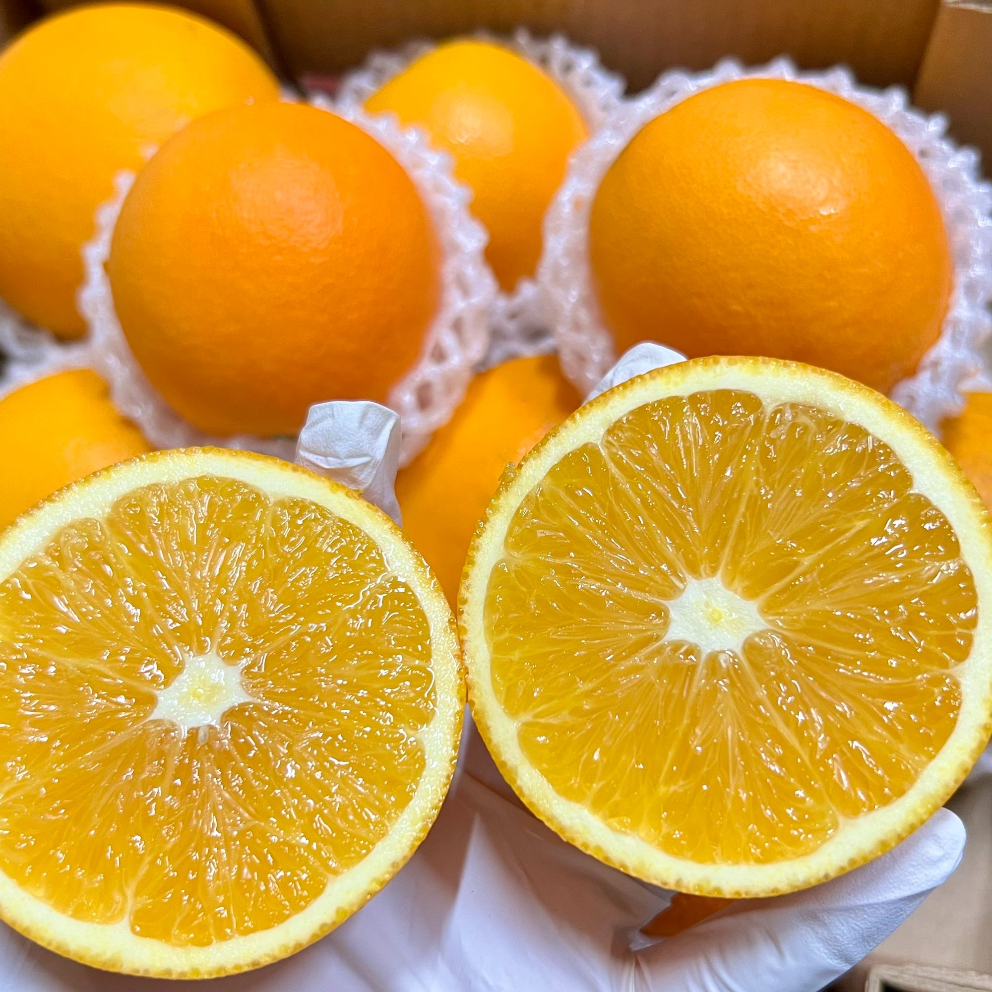 江西脐橙 橙子味浓郁 甜多汁 口感好 6斤/12斤装 【深圳当日达】