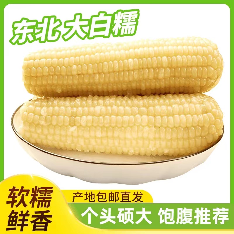 东北新鲜采摘白糯甜玉米8送2共10*支整箱8斤