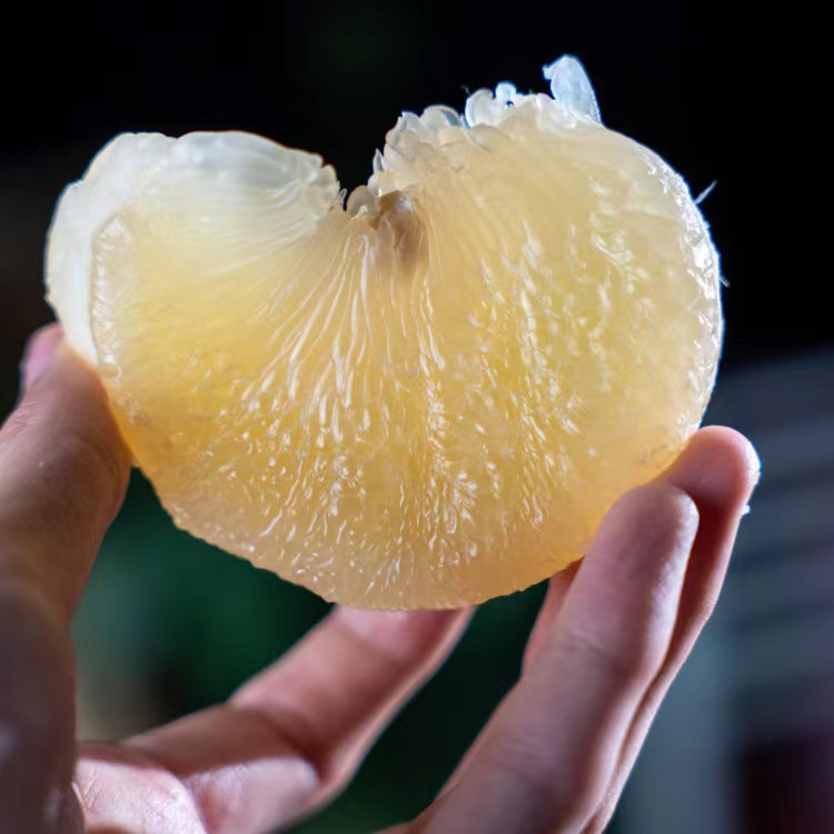 【玉环文旦柚】2025 玉环文旦产地直达9甜1酸黄金比例2.5-20斤