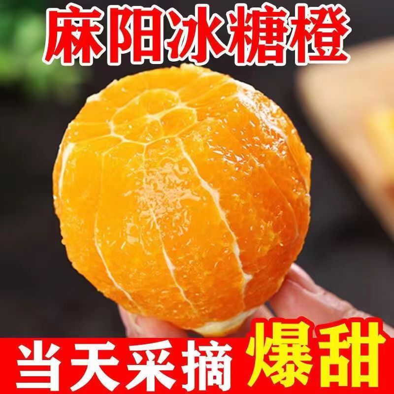 【回购专属】麻阳冰糖橙净重5/9斤现摘大果新鲜水果橙子果园整箱