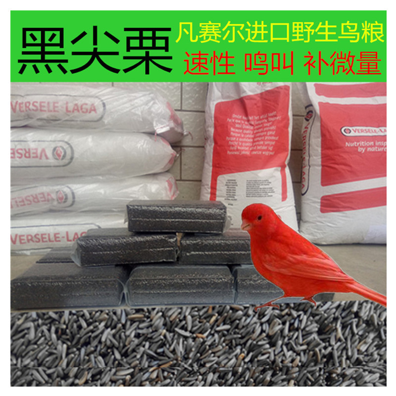 鸟食黑尖粟鸟粮尼日尔草籽提性鸣叫玉鸟芙蓉鸟金青大金黄麻料鹦鹉