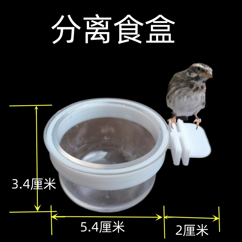 鸟用分离食盒水杯鸟食盒玉鸟芙蓉鸟金青灰燕大金黄文鸟白燕鹦鹉