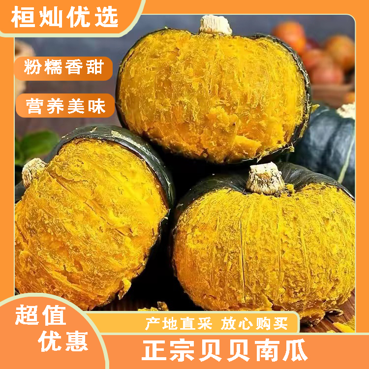 正宗贝贝南瓜糯香板栗味宝宝辅食小南瓜4.5-5斤3-7个果【水瓜包赔】