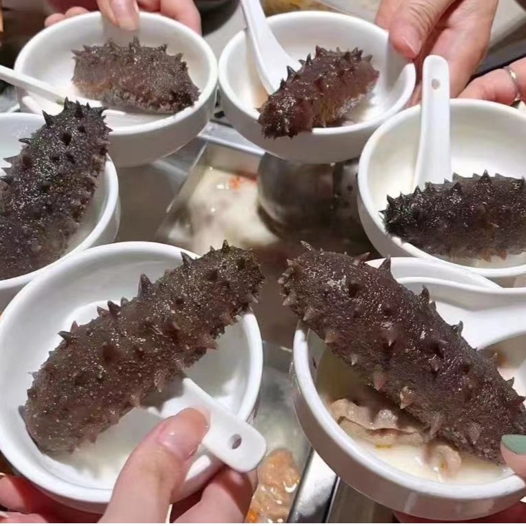 伊桦食养大连12头鲜食海参