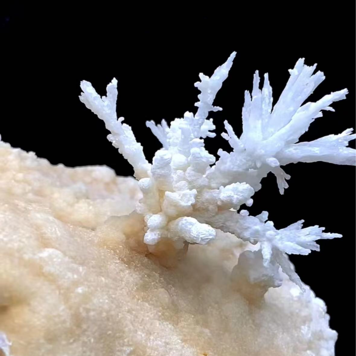 直播间一物一拍天然钟乳石摆件客厅装饰品商用家庭摆件装饰品入户