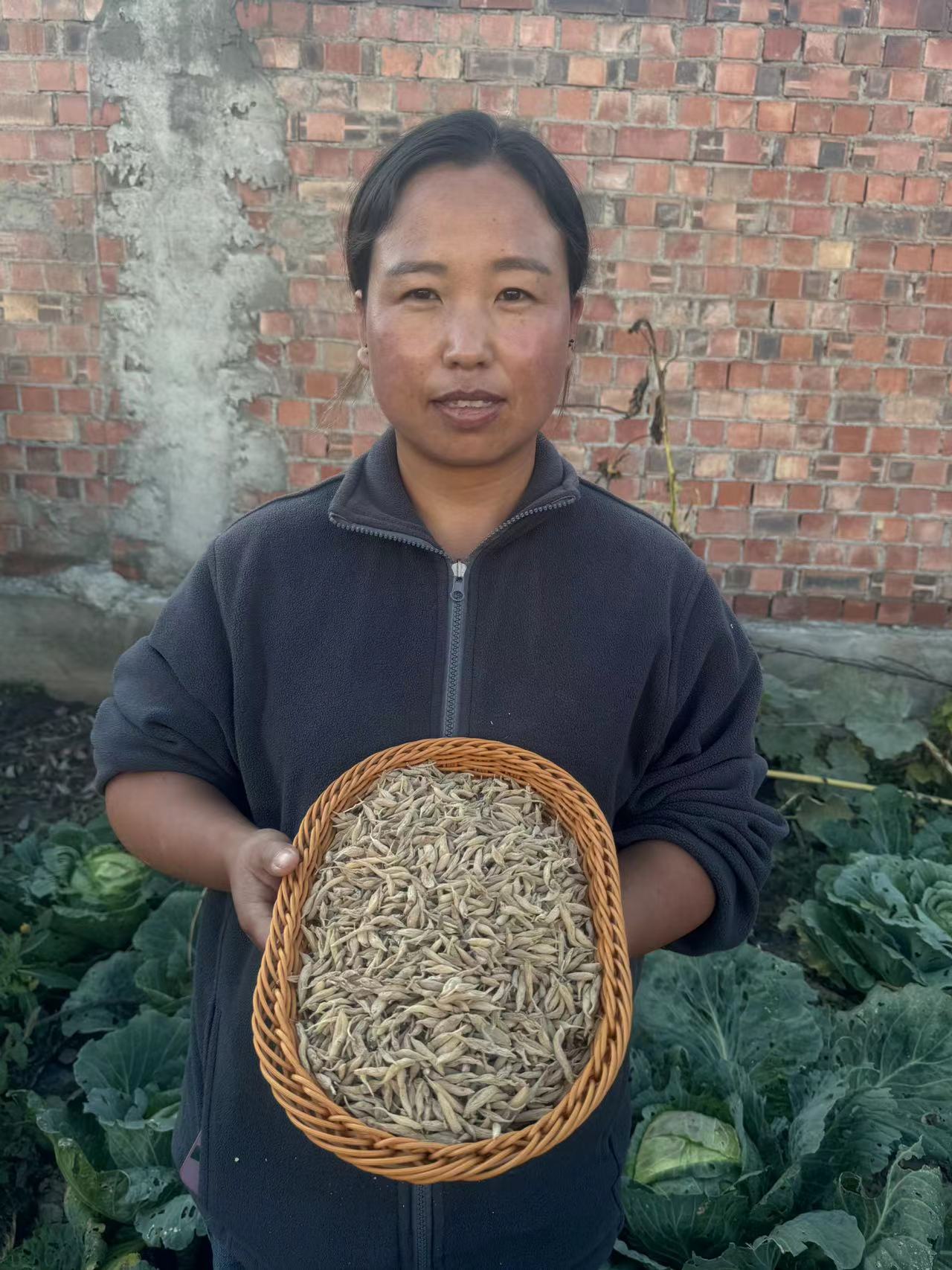 野采老麦冬 含量高 可泡水煲汤