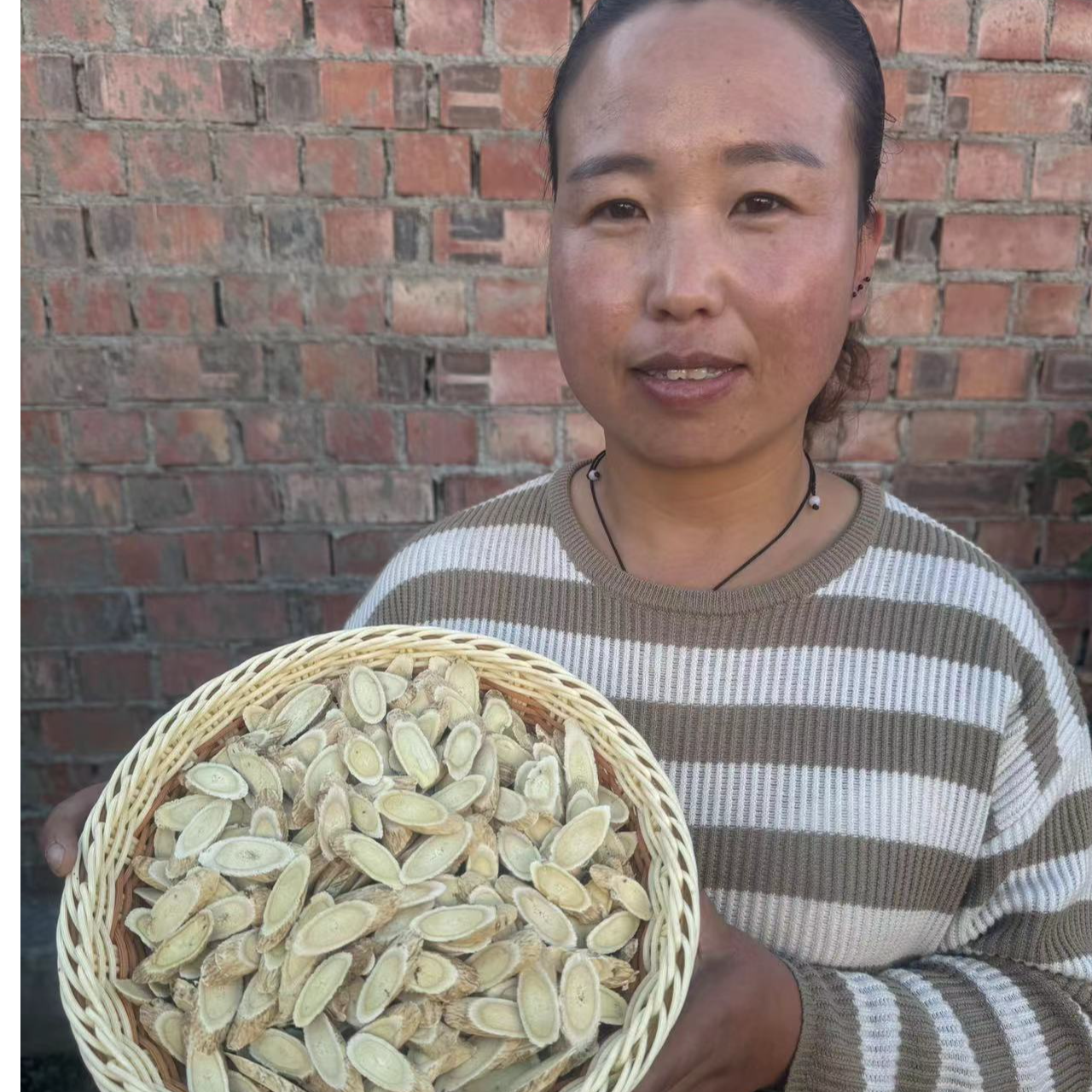 甘肃岷县精选种植黄芪主根切片大片