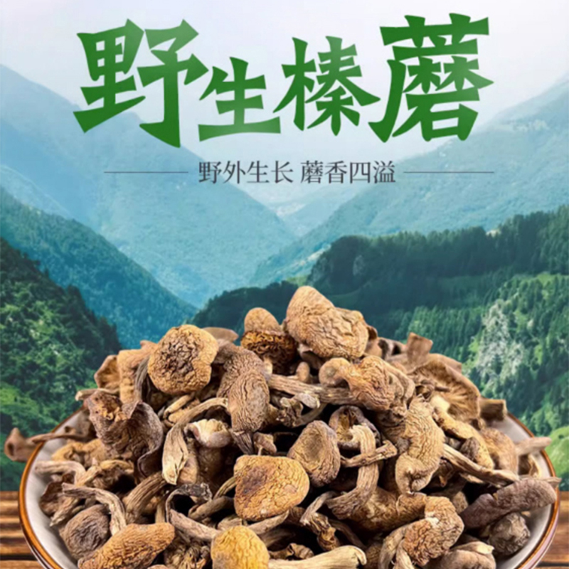 东北野生榛蘑400g 东北小鸡炖蘑菇丁干货无根去根手工挑选