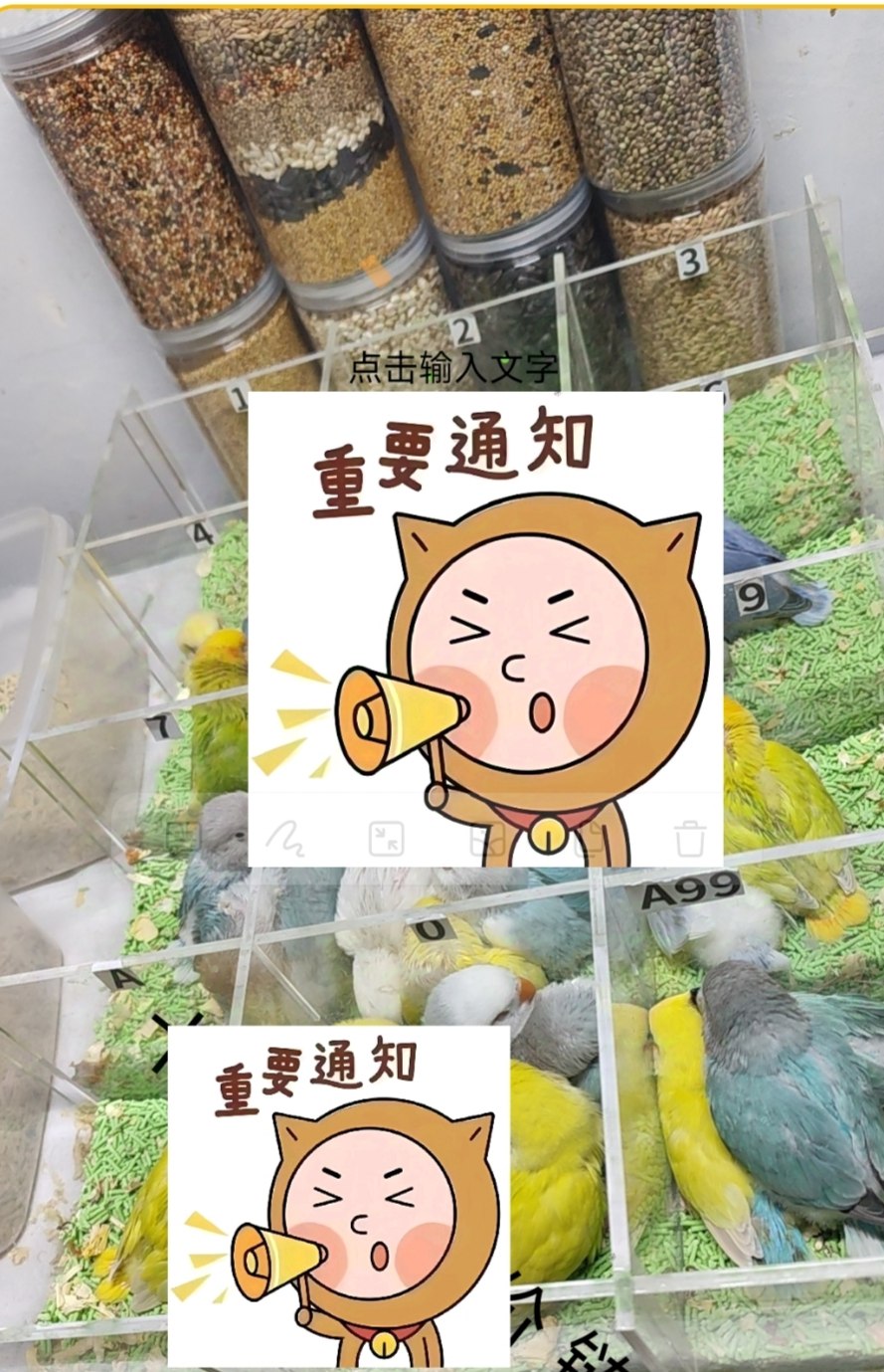 玄凤牡丹鹦鹉饲料带壳谷子混合鸟粮