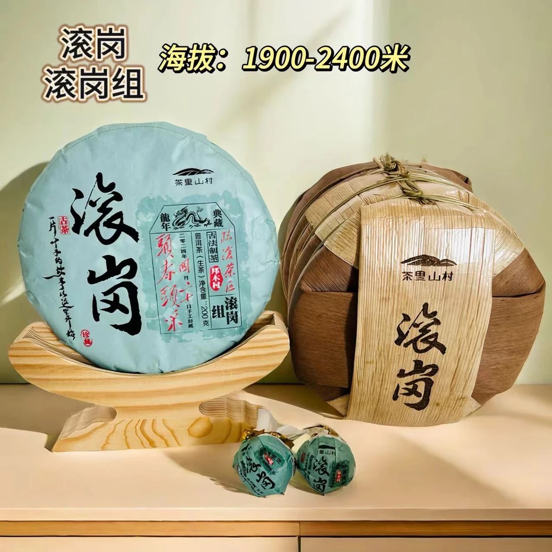 2024年/头春头彩大古树/邦木村/《滚岗组、滚岗》/生茶