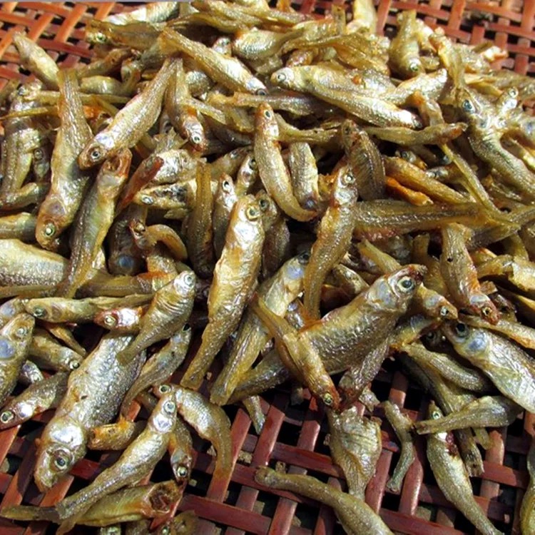 【火焙鱼】湖南农家特产小鱼干干货淡水小溪鱼