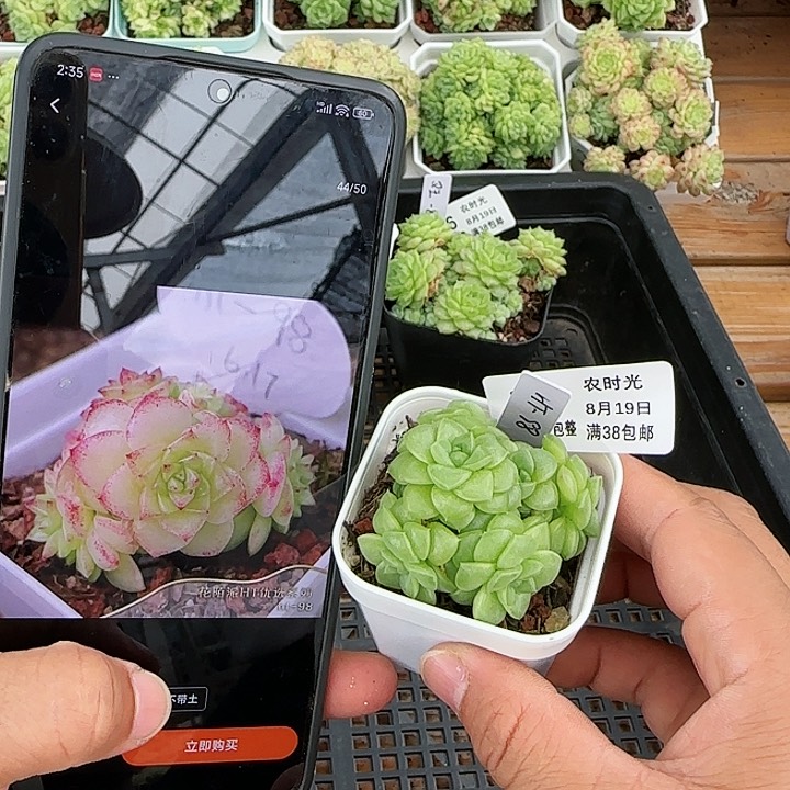【闪购商品】0819-138（ht-98）