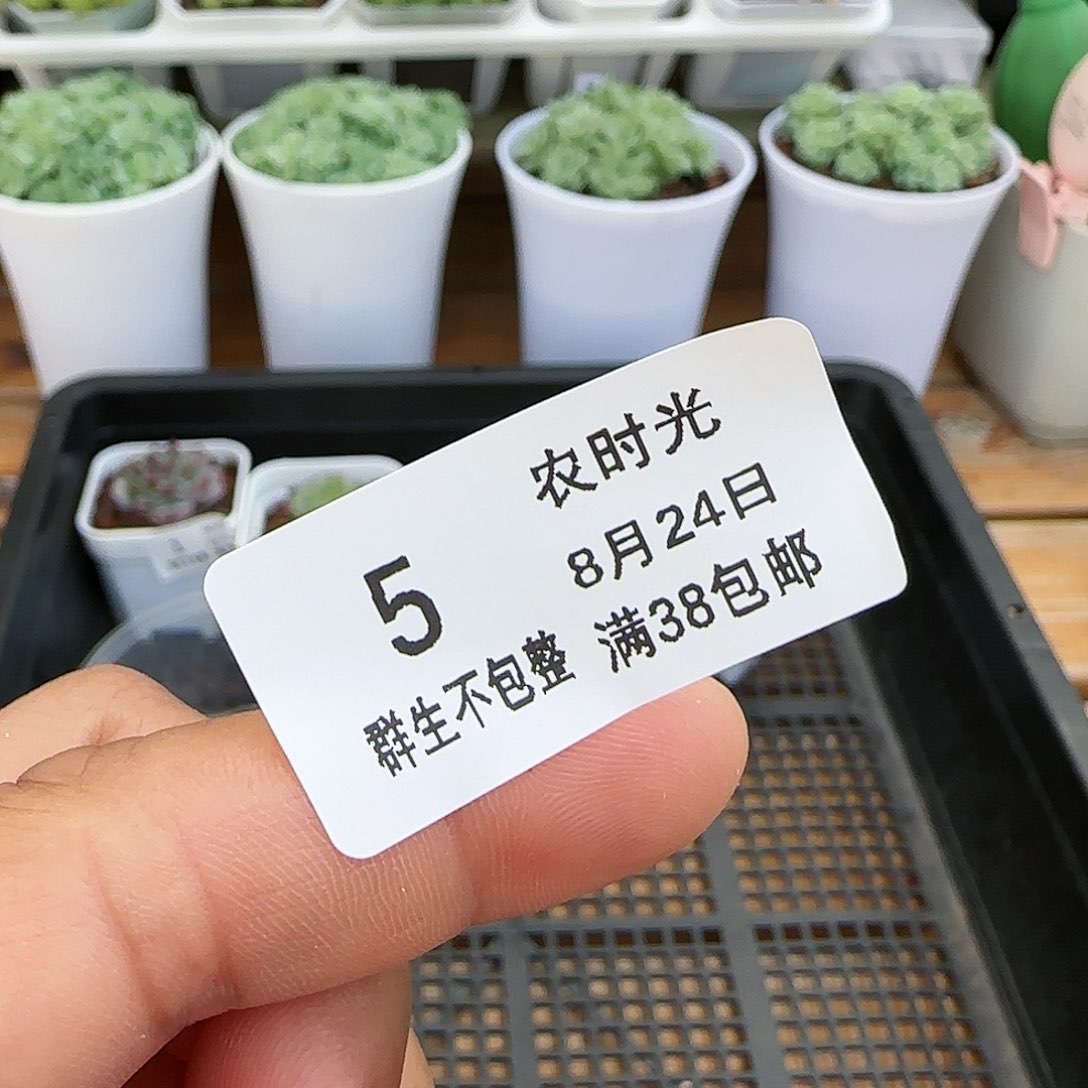 米*【闪购商品】0824-5专拍