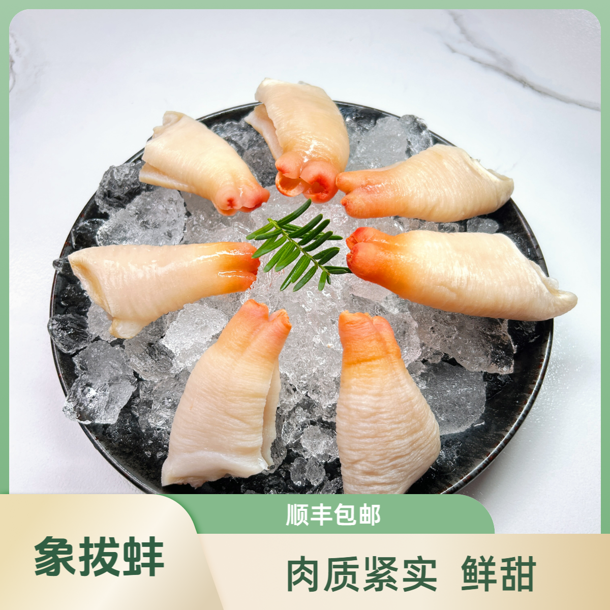 丹东-东港  深海象拔蚌  海鲜速冻发货 京东/顺丰包邮