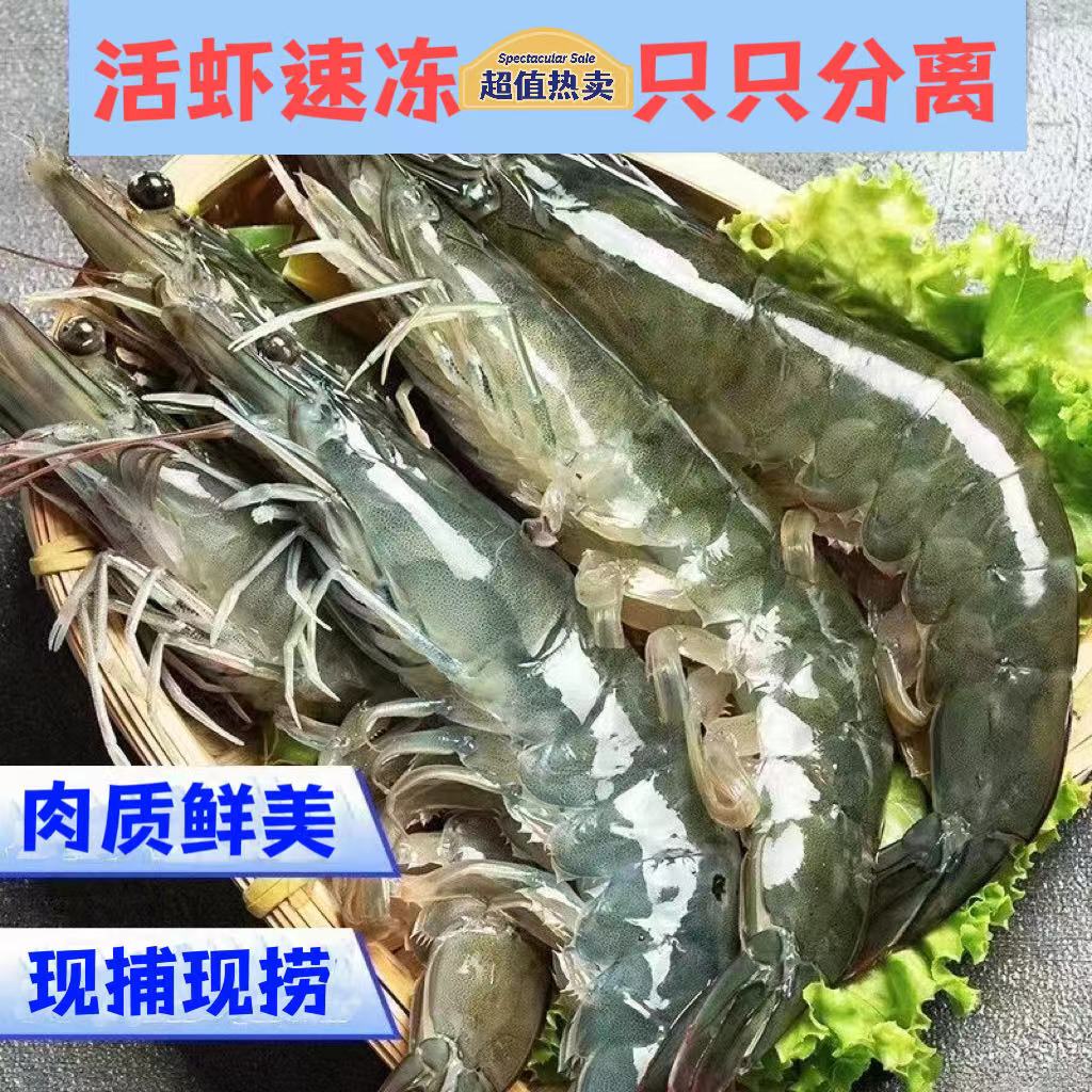 M【新人浮力】4斤14cm大号海虾 活虾速冻 顺丰冷链包邮 毛净重1850g
