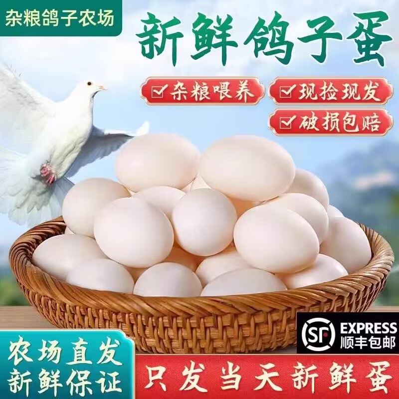 【农家散养鸽子蛋】新鲜鸽子蛋30枚600g宝宝辅食顺丰包邮大鸽子蛋