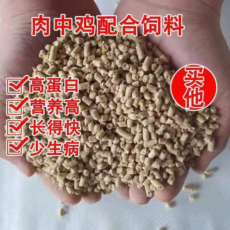 涢阳龙凤   成年鸡  产蛋料  2-4斤