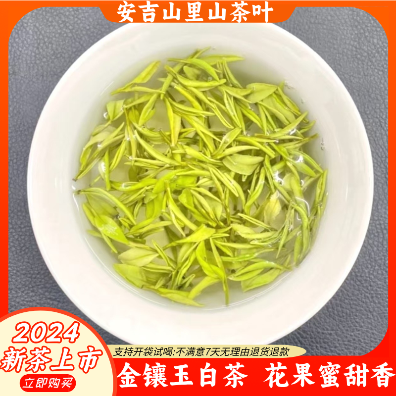 【金镶玉白茶】2024年新茶安吉原产地高山金镶玉花果蜜甜香