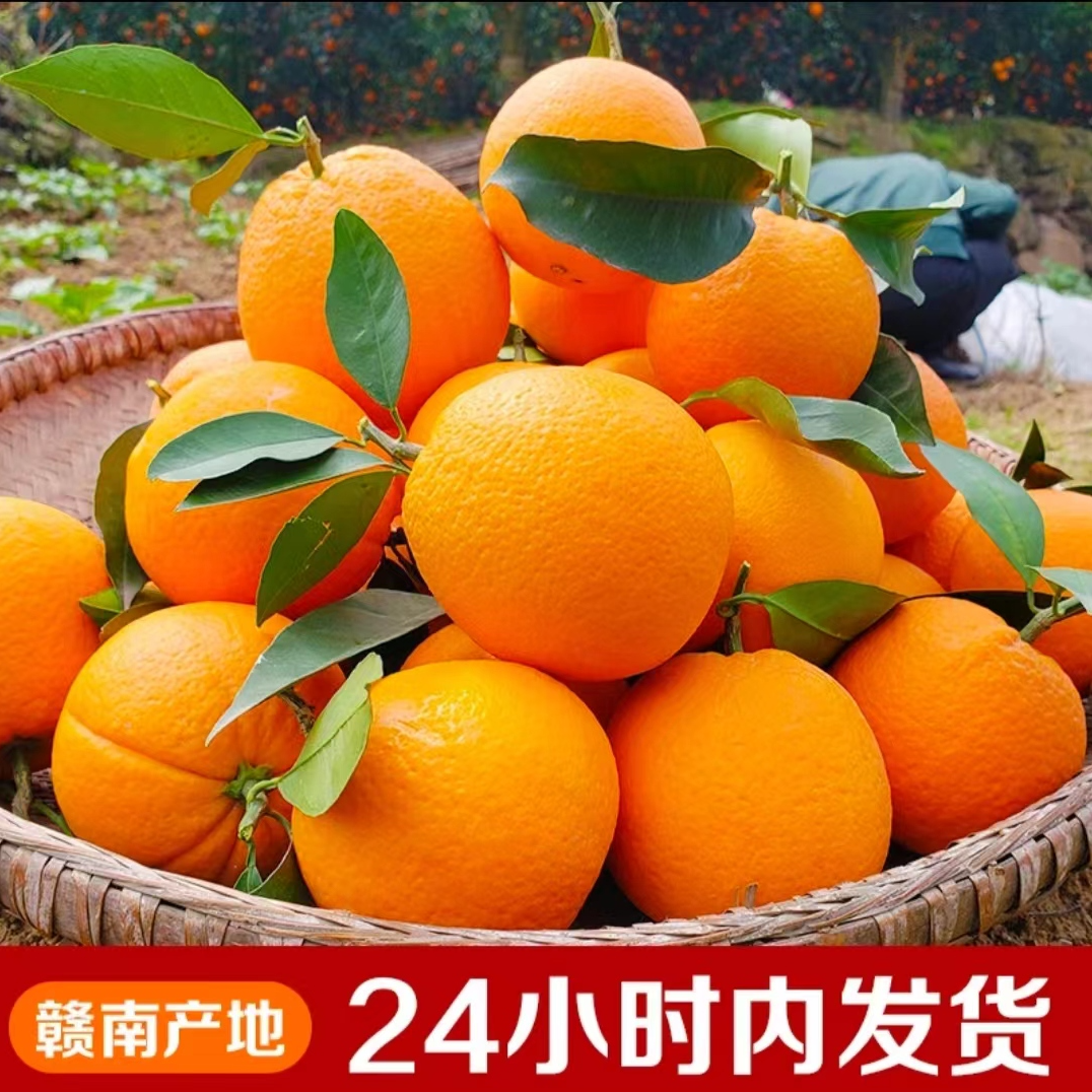 鲜农脐橙正宗赣南脐橙信丰应季水果新鲜橙子产地直发特产好吃