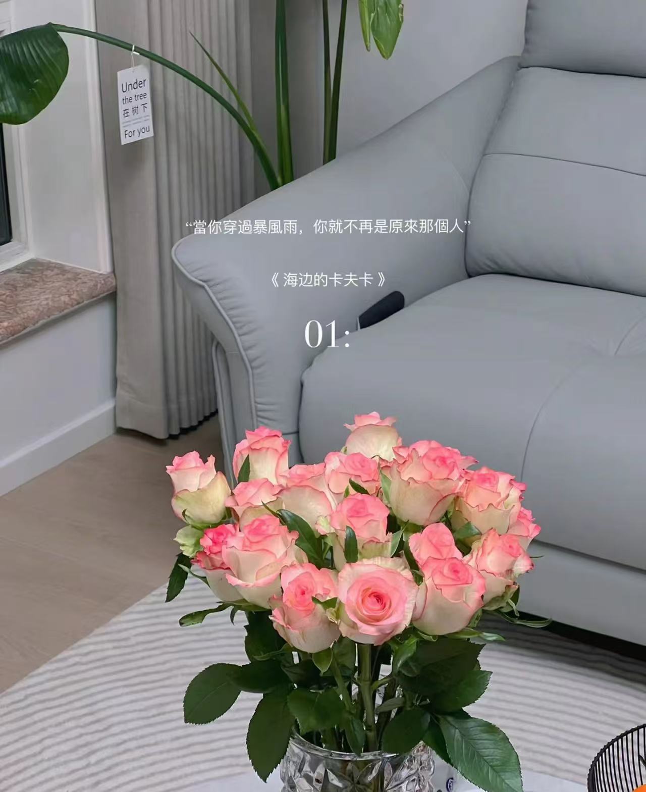 艾莎玫瑰  云南鲜花批发直播