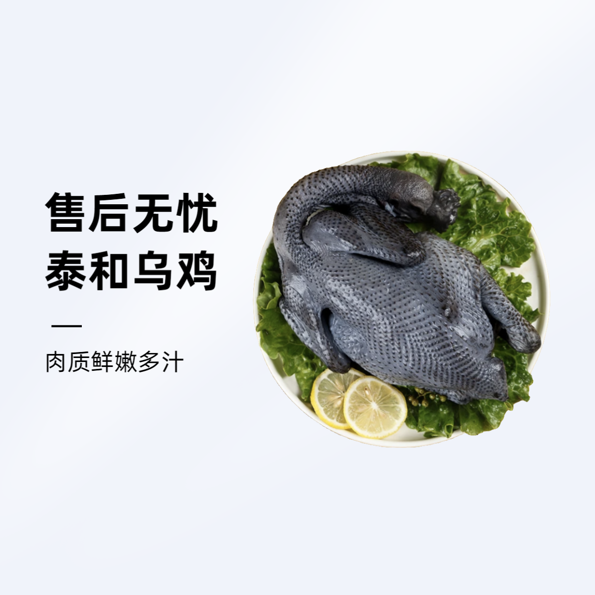 正宗泰和乌鸡 林下散养散放 营养好滋味