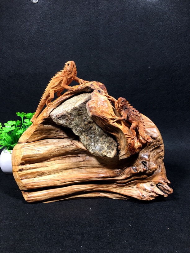根包石崖柏陈化料木雕动物蜥蜴根雕清刀镂空雕刻工艺品摆件