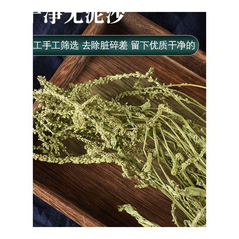 车前草干货整株干净无硫正品泡水新货车前草中药材