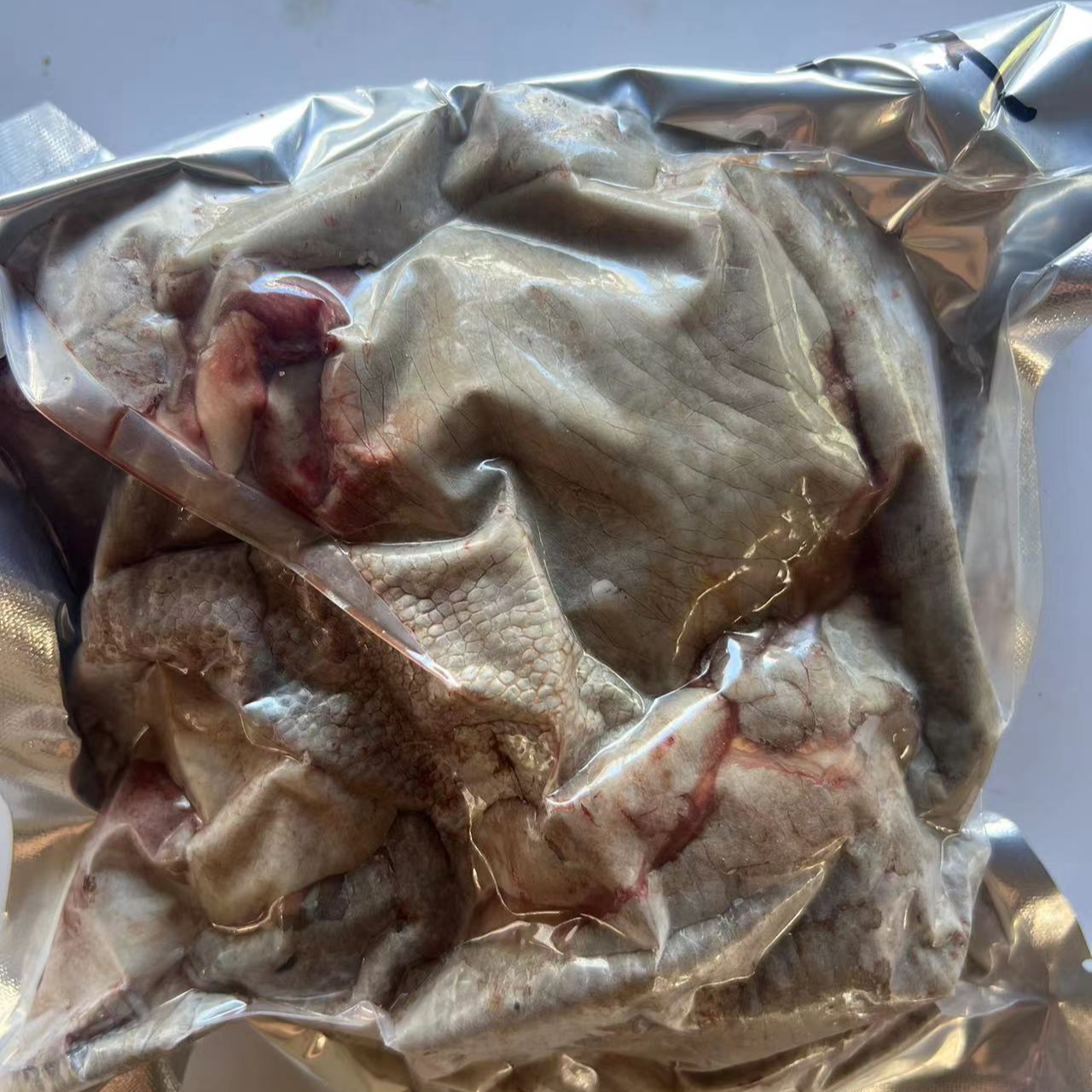 新鲜鸵鸟皮 包邮到家.有点毛和油。完美主义者勿拍