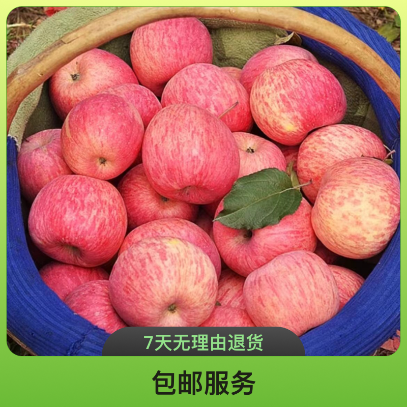 陕西特惠装红富士85mm大果苹果脆甜多汁包邮