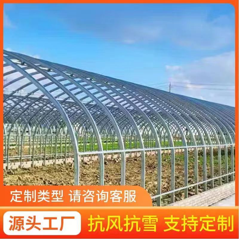 温室大棚电动种植棚养殖遮阳厂家专业定制