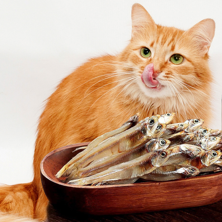 猫咪小鱼干宠物狗狗零食小鱼干淡水低盐白条鱼干补钙发腮增肥鱼肉