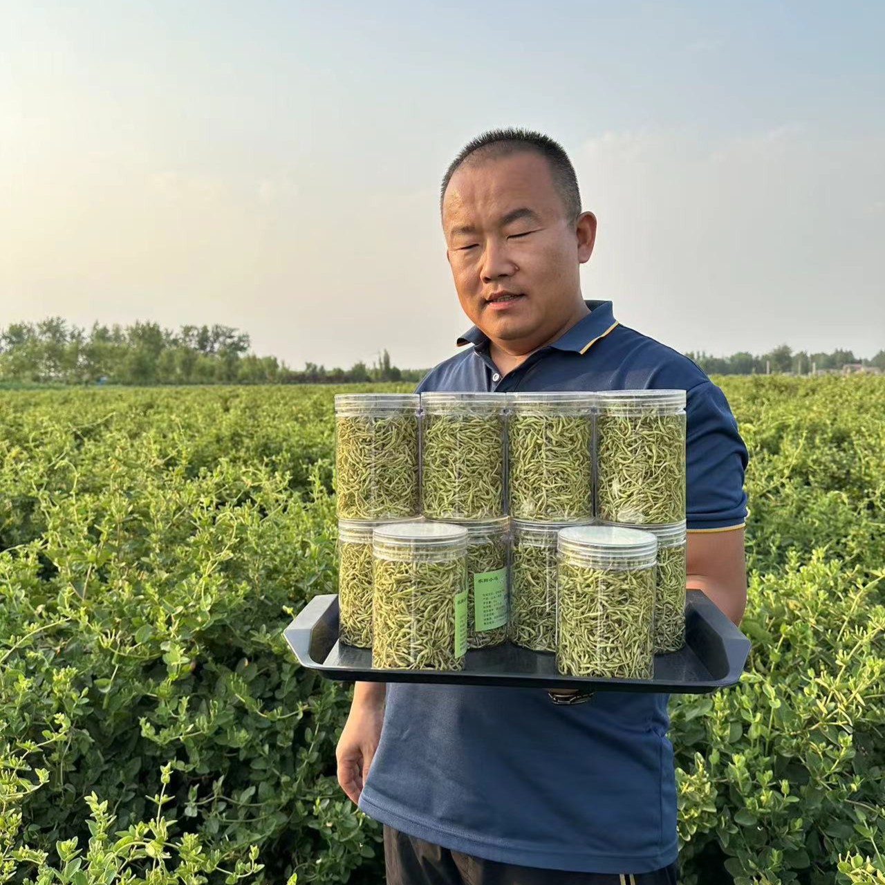 金银花500g山东道地固体金银花干花自产自销无硫磺熏品质保证