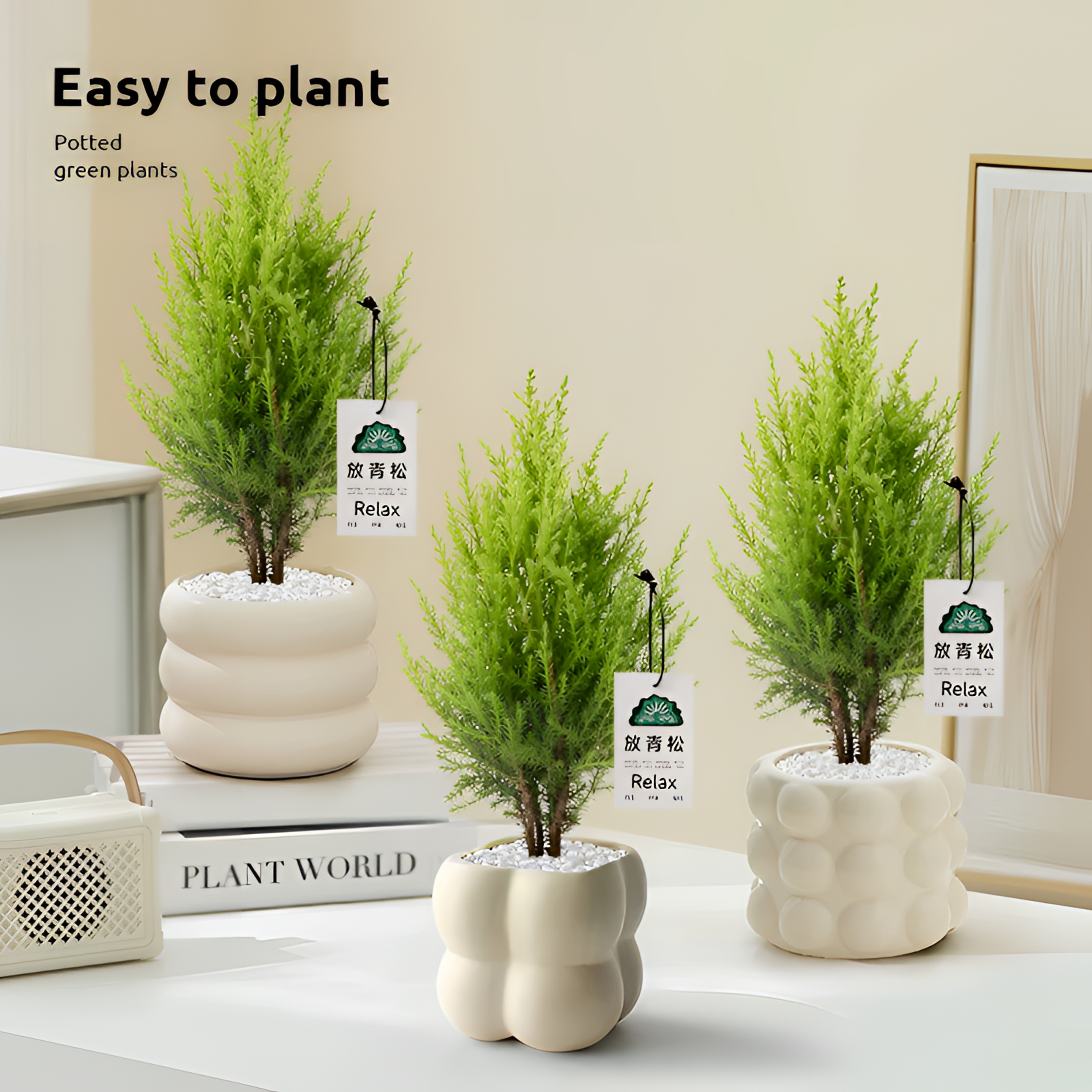 小香松绿植桌面防辐射盆栽净化空气植物四季常青花卉圣诞树北欧风