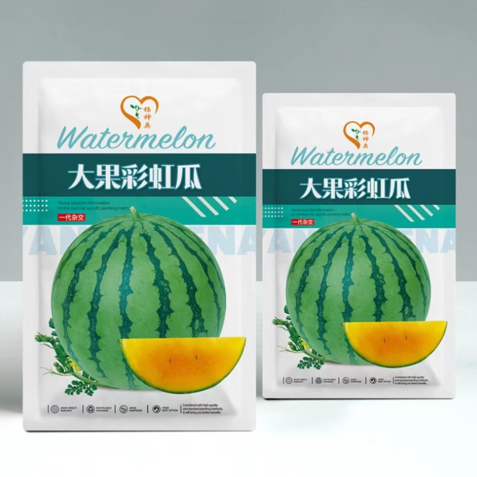 杨神奥大果彩虹瓜/早熟/产量高/瓤色美丽/高糖/耐运输耐裂