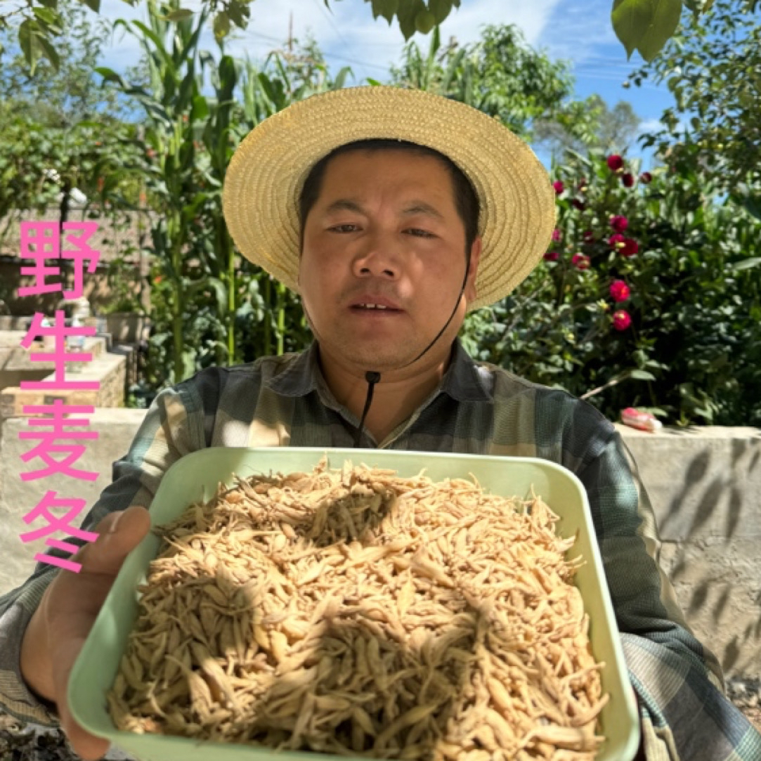 【野外采挖老麦冬】长相不好看 不均匀介意外表的不要拍