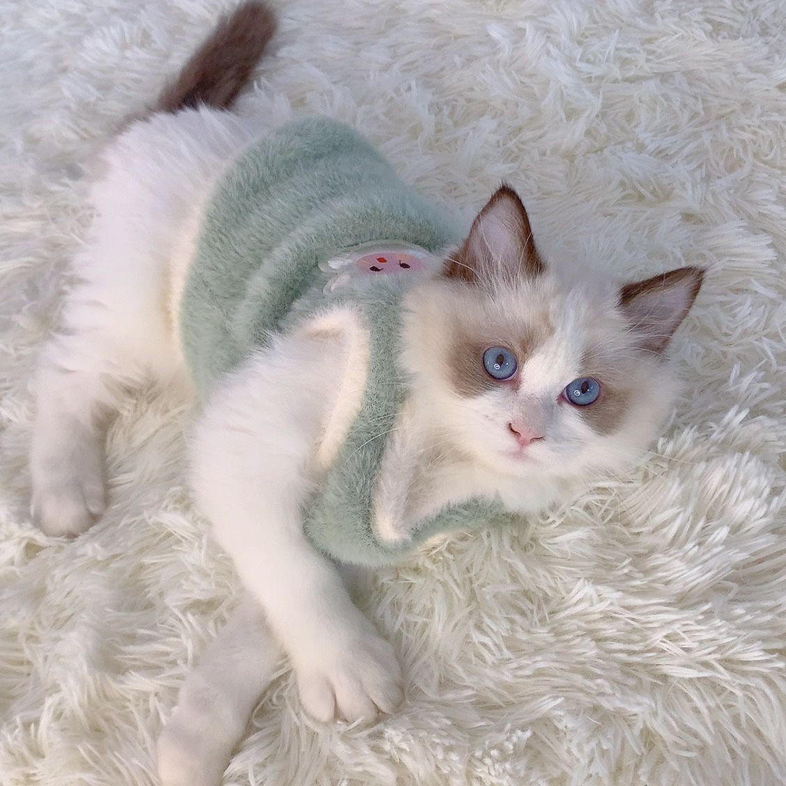 猫咪衣服狗狗冬季保暖防掉毛布偶蓝猫可爱宠物幼猫小型犬泰迪衣服