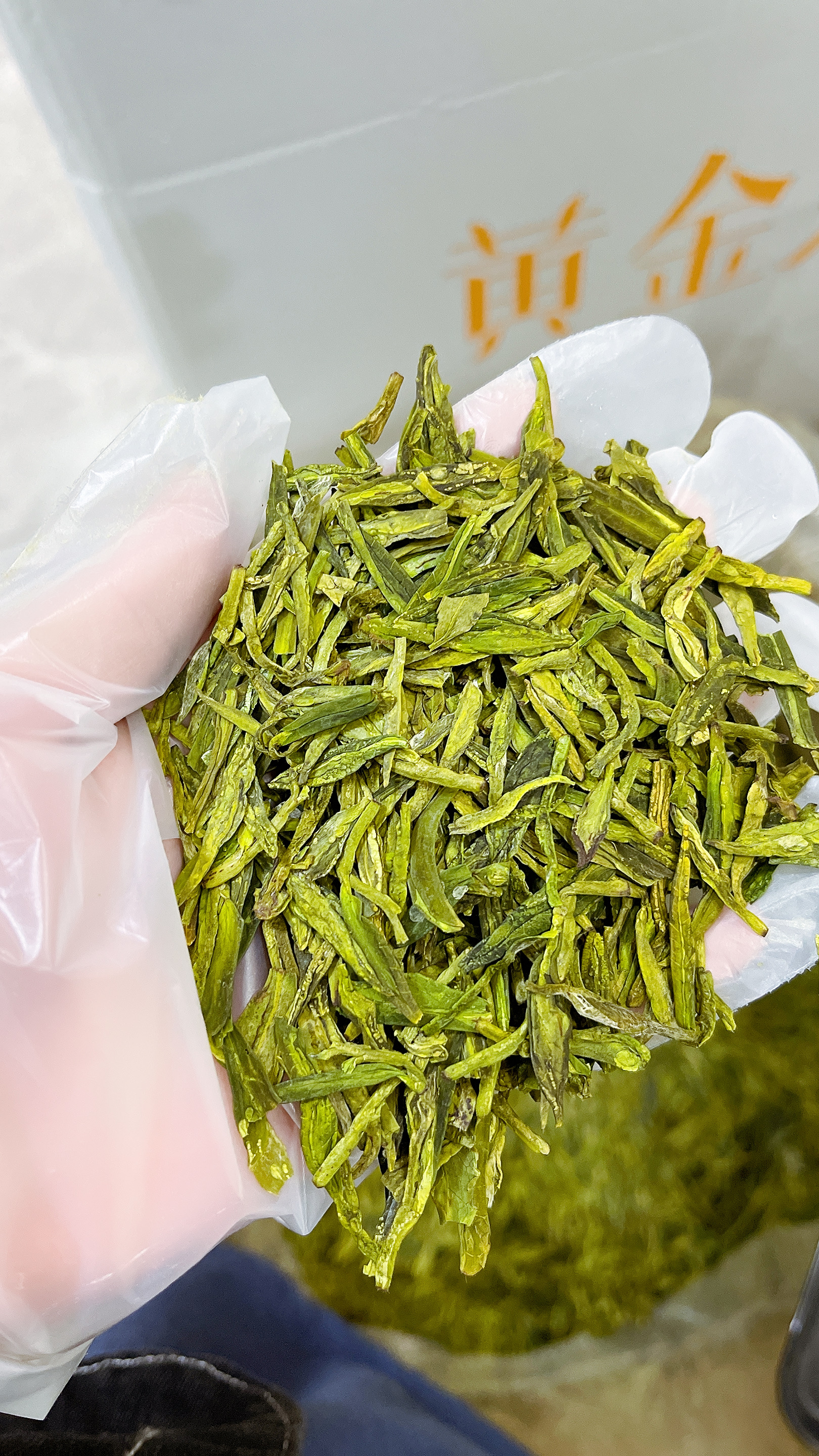 1，5.8春茶浓香豆香沙口耐泡龙井口粮茶