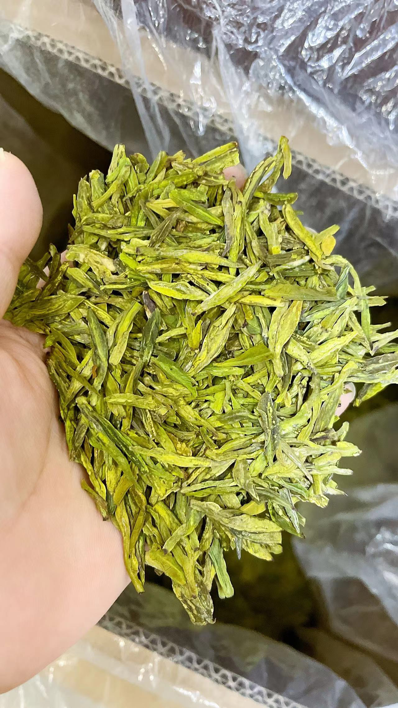 2,4,0新茶新昌浓香豆香龙井回甘好耐泡 浙江绿茶