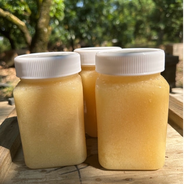 广东鸭脚木冬蜜纯正土蜂蜜蜂农自产自销原蜜不喂糖不勾兑500克/瓶