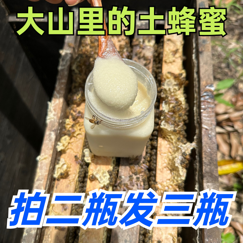 正宗蜂蜜农家自产自销野生冬桂花纯蜂蜜瓶装真蜂蜜250g500g