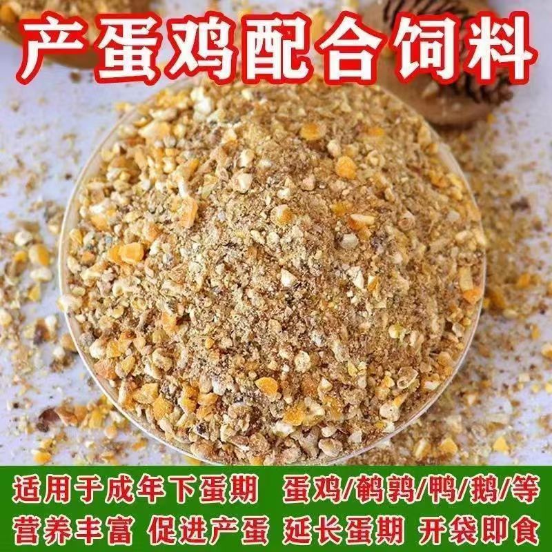 白来航蛋鸡专用饲料增加抵抗力提高产蛋量包邮