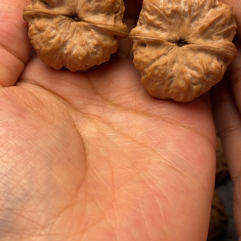 【闪购商品】文玩核桃吊坠晟****啥