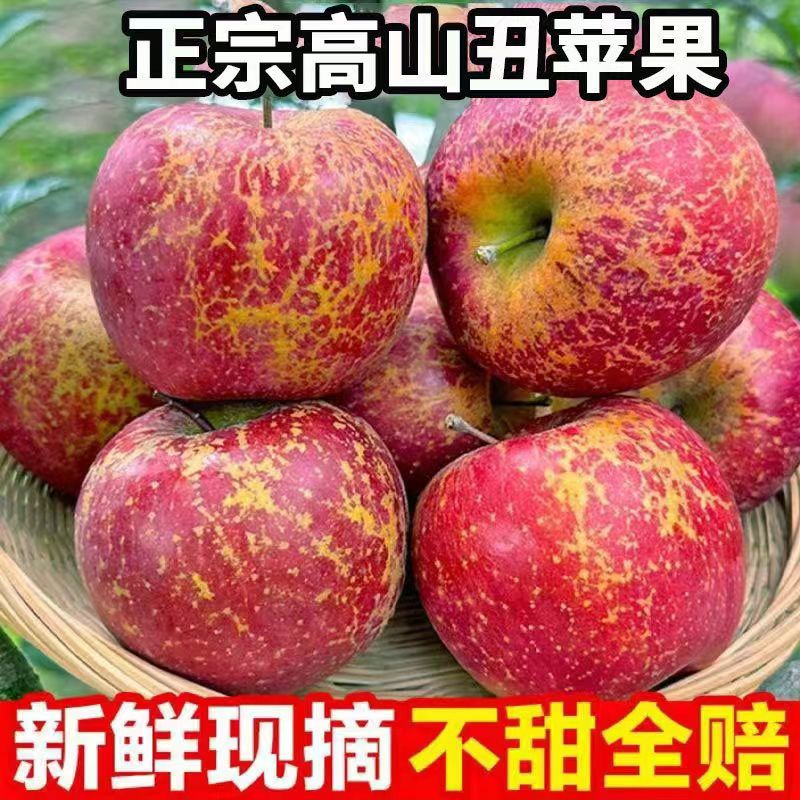2024大苹果111111